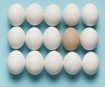 Divieto consumo uova crude e insaccati freschi