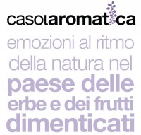 logo_casolaromatica